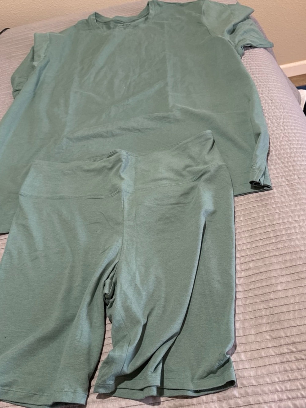 Cuddl Duds Soft Sage Green Tee - 3X & bike shorts size Xl $30